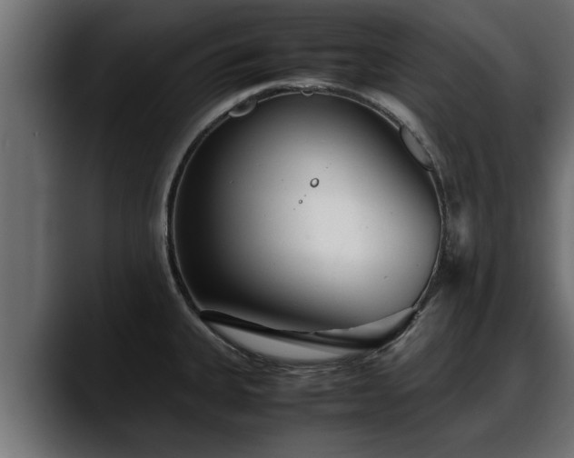 X0000088361335200705291259