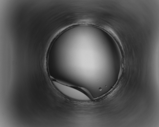 X0000088361336200705291259