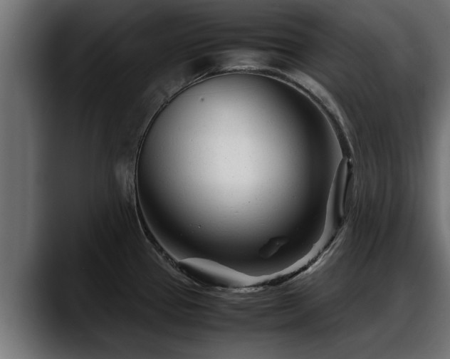 X0000088361337200705291259