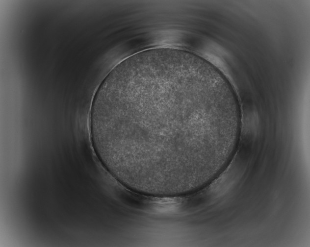 X0000088361338200705291259