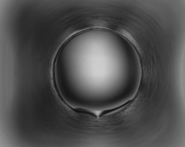 X0000088361339200705291300