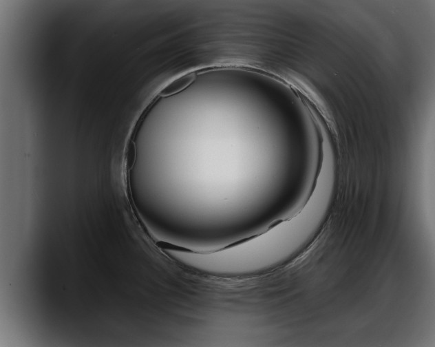 X0000088361340200705291300