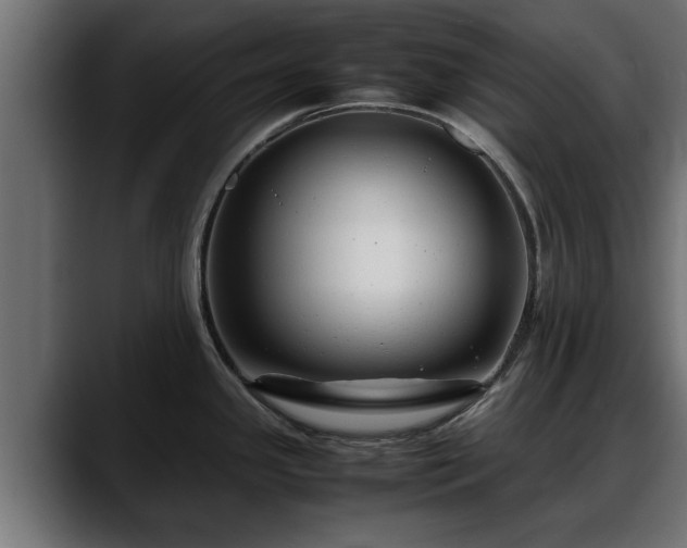 X0000088361341200705291300