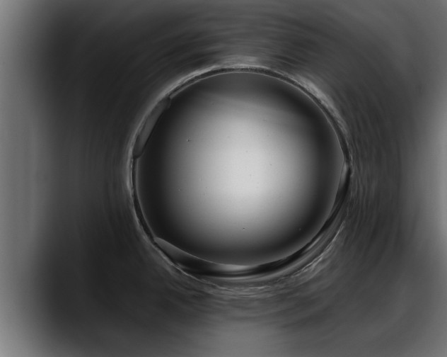 X0000088361342200705291300