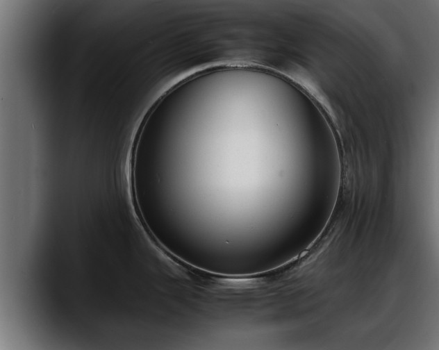 X0000088361343200705291300