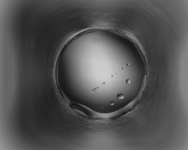 X0000088361344200705291300