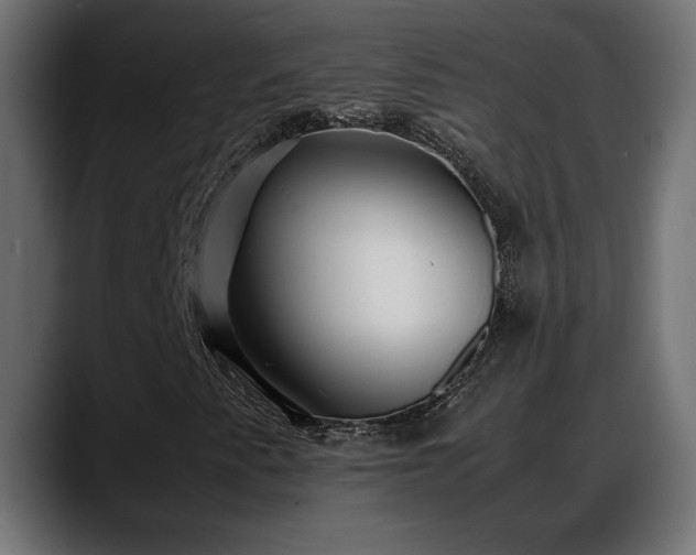 X0000088361345200705291259