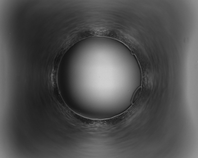 X0000088361346200705291259