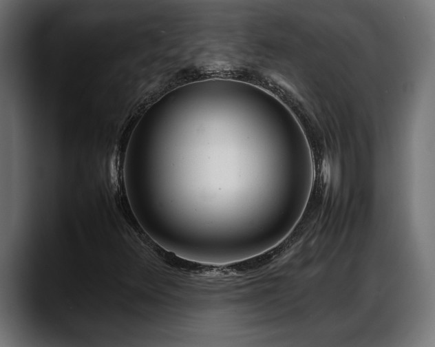 X0000088361348200705291259