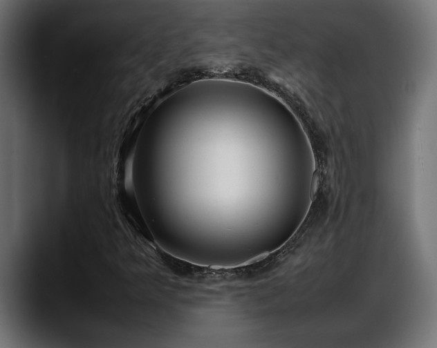 X0000088361349200705291259