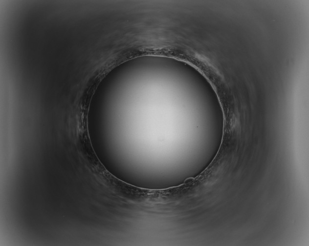 X0000088361350200705291259