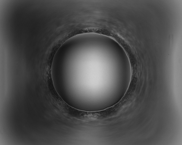 X0000088361351200705291259