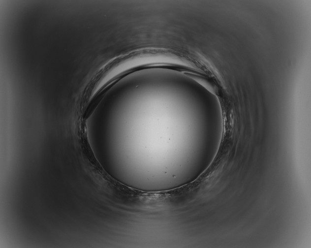 X0000088361352200705291259