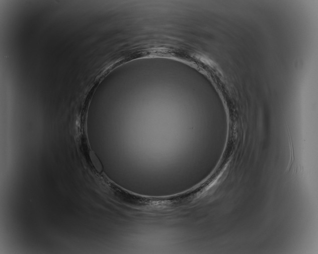 X0000088361353200705291259