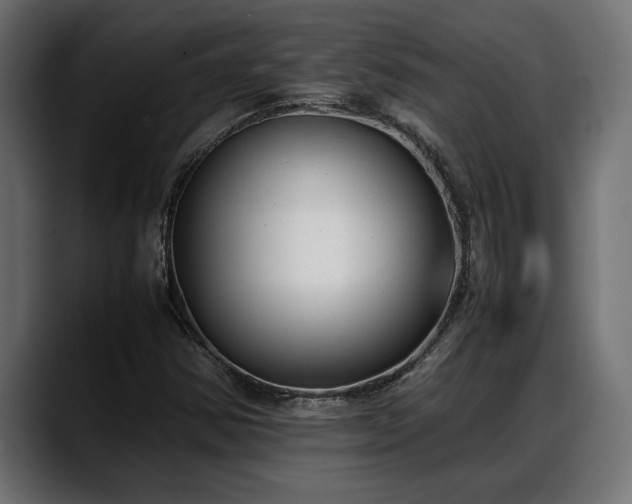 X0000088361354200705291259