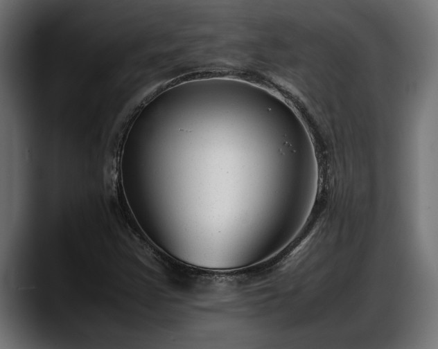 X0000088361355200705291259