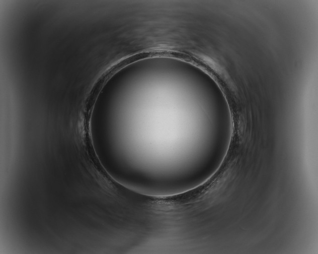 X0000088361356200705291259