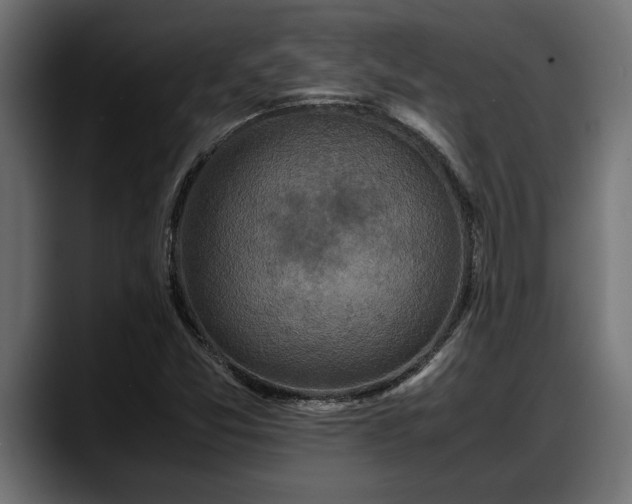 X0000088361357200705291259