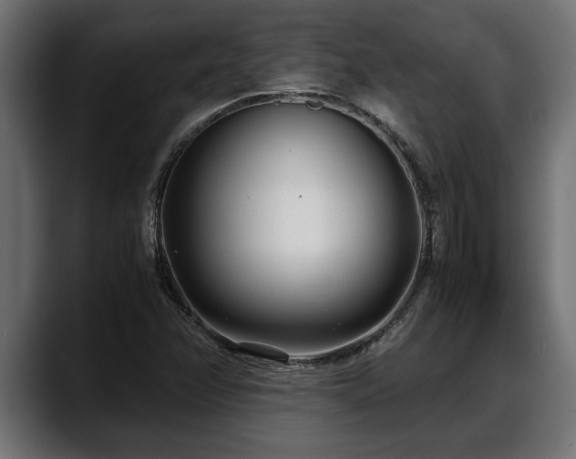 X0000088361358200705291259