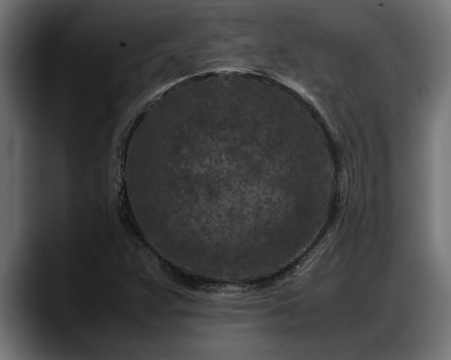 X0000088361359200705291259