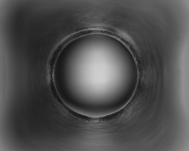 X0000088361360200705291259