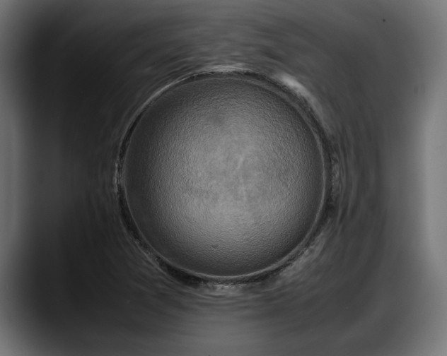 X0000088361361200705291259