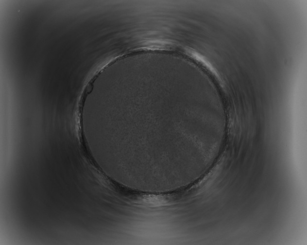 X0000088361362200705291259