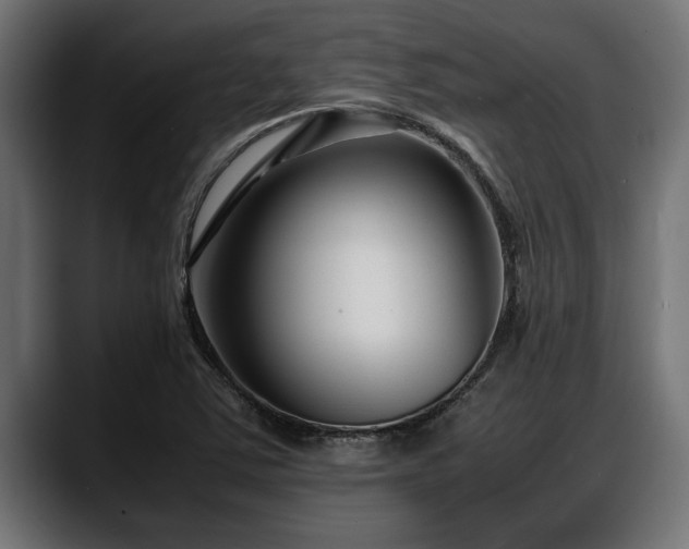 X0000088361363200705291259