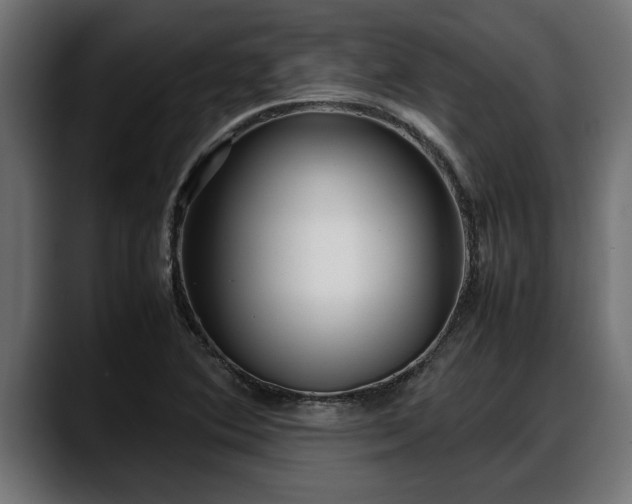 X0000088361364200705291259