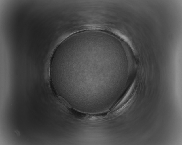 X0000088361365200705291259