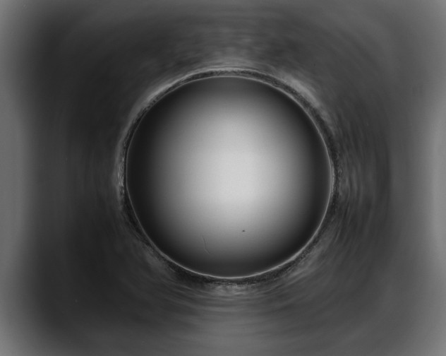 X0000088361366200705291259