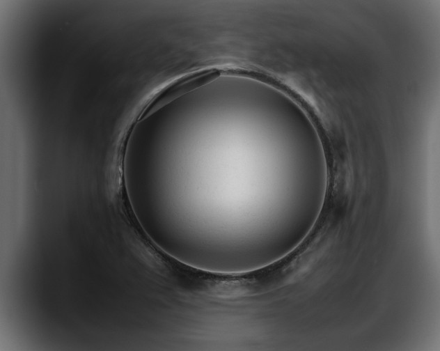 X0000088361367200705291259