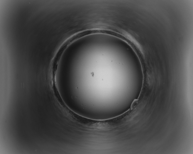 X0000088361368200705291259