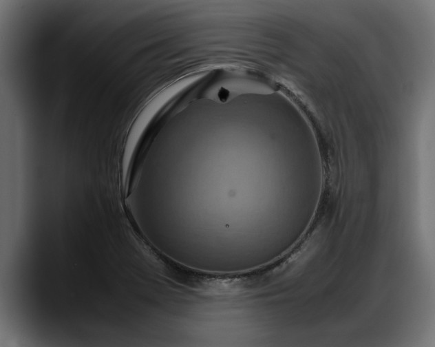 X0000088361369200705291259