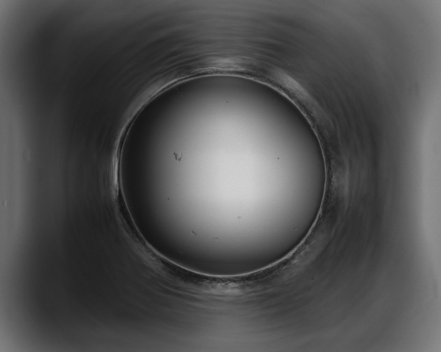 X0000088361370200705291259