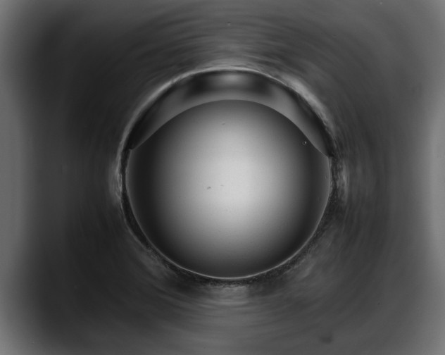 X0000088361372200705291259