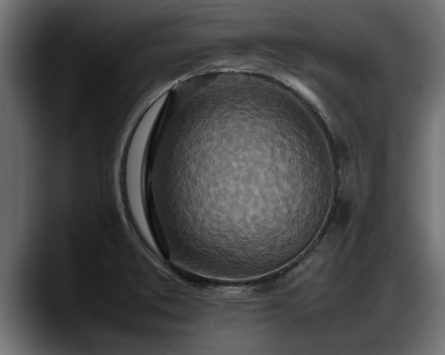 X0000088361373200705291259