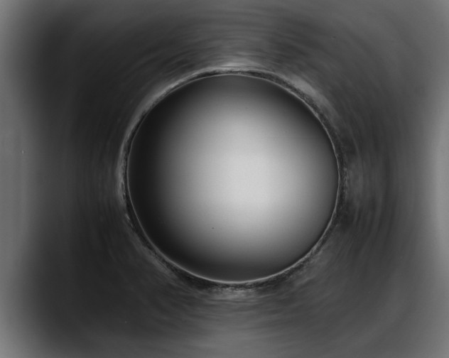 X0000088361374200705291259