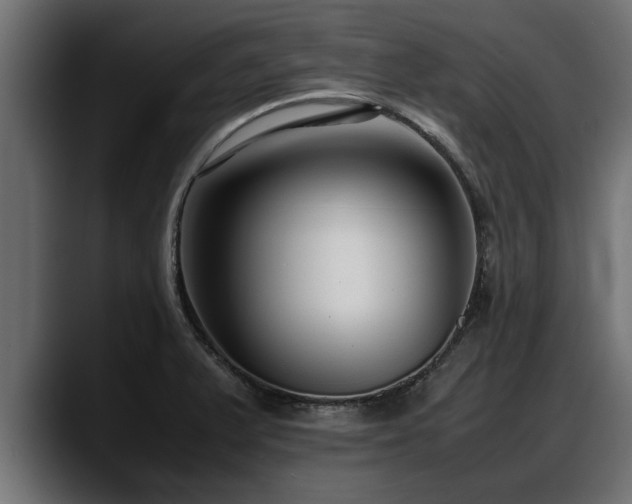 X0000088361375200705291259