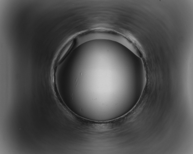 X0000088361376200705291259