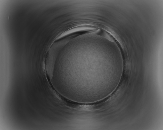 X0000088361377200705291259