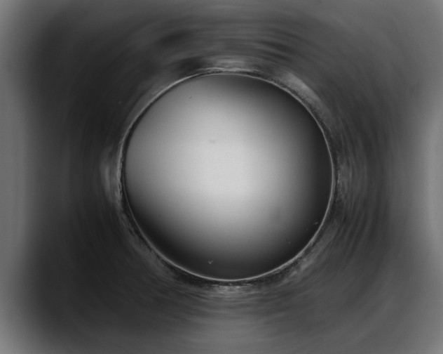 X0000088361378200705291259