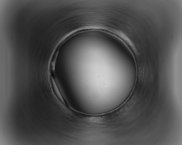 X0000088361380200705291258