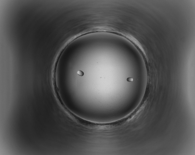 X0000088361381200705291258