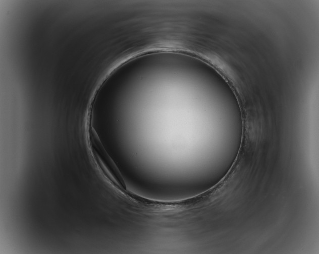 X0000088361382200705291258