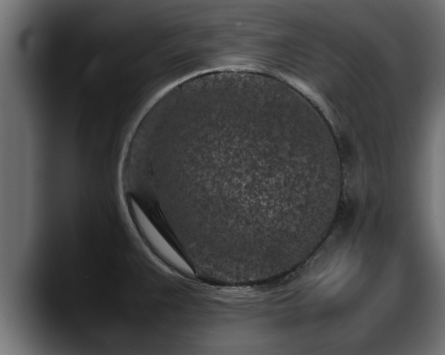 X0000088361383200705291258