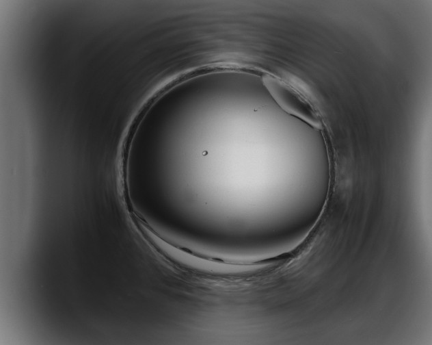 X0000088361384200705291258