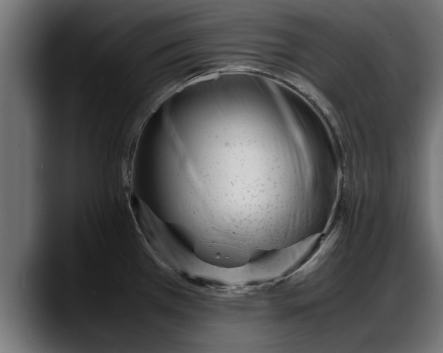 X0000088361385200705291258