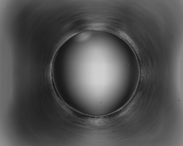 X0000088361386200705291258