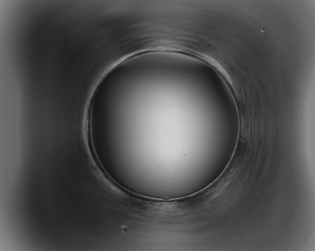 X0000088361387200705291258